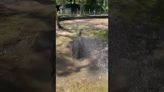  .....rthTv  'recent videos' 