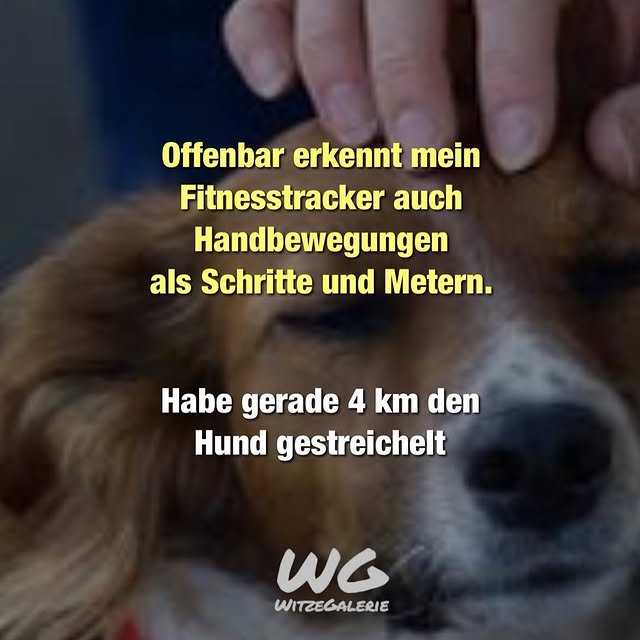  ......alerie   'recent posts' 