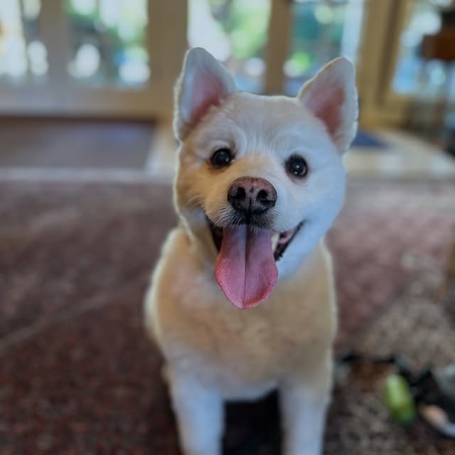  .......heeskie   'recent posts' 