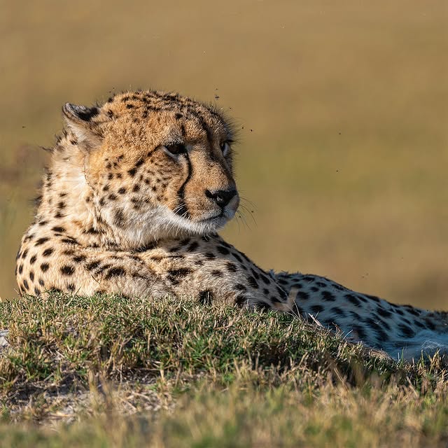  .........._sightings   'recent posts' 