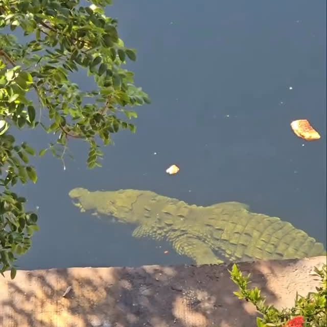  ..........ylefishing   'recent posts' 