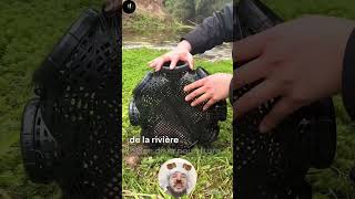  ......nsights  'recent videos' 