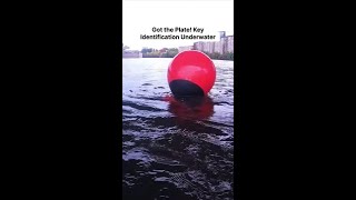  ...........with Purpose  'recent videos' 