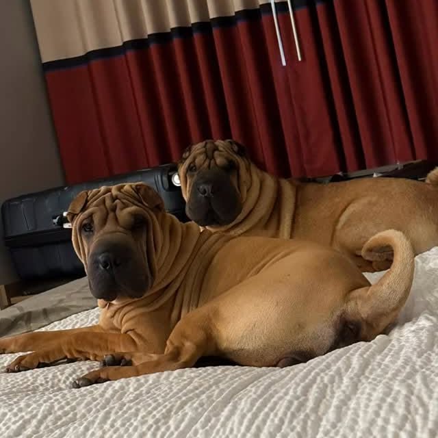  ......i.world   'recent posts' 