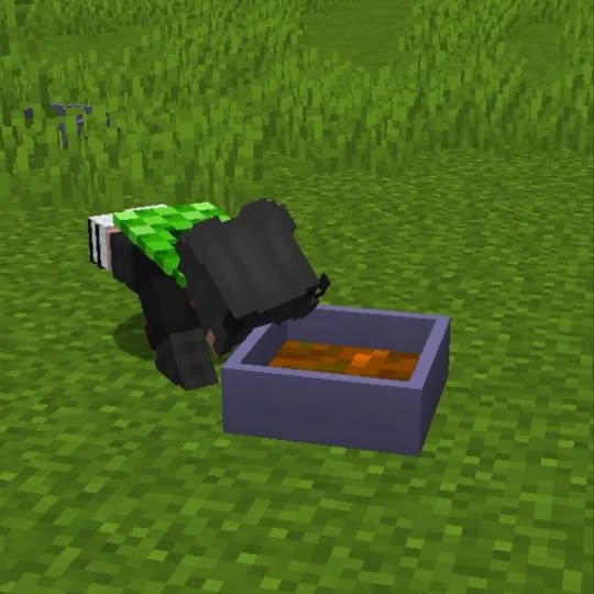  ......ccortos   'recent posts' 