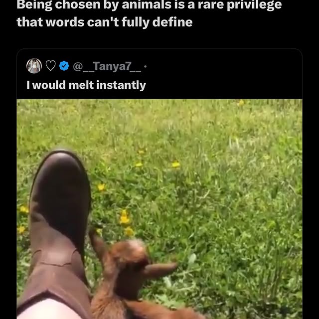  ......rldpage   'recent posts' 