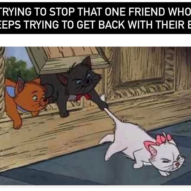  .....memes   'recent posts' 