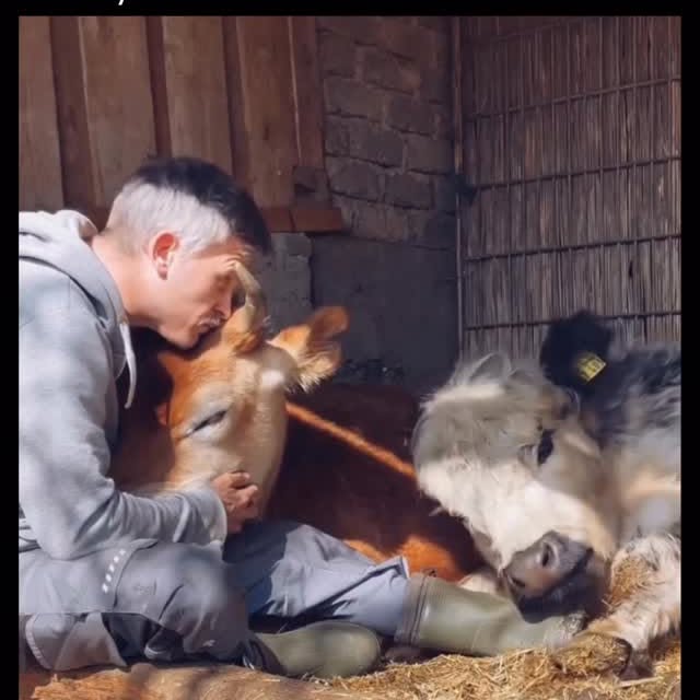  ........ypractice   'recent posts' 