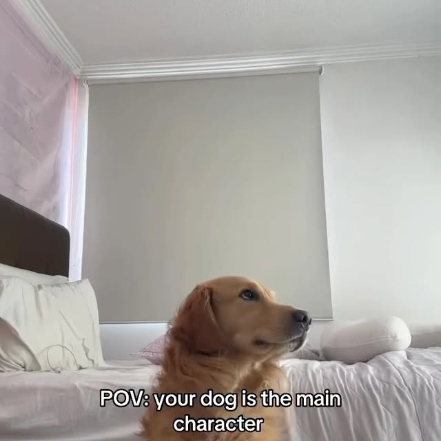  .....nenat   'recent posts' 