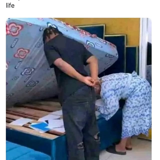  .....memes   'recent posts' 