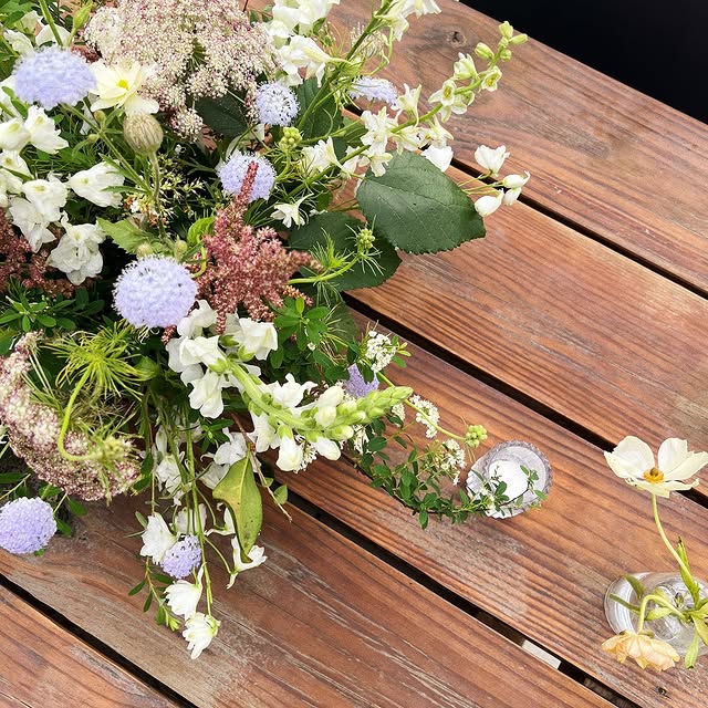  ........amoronta   'recent posts' 