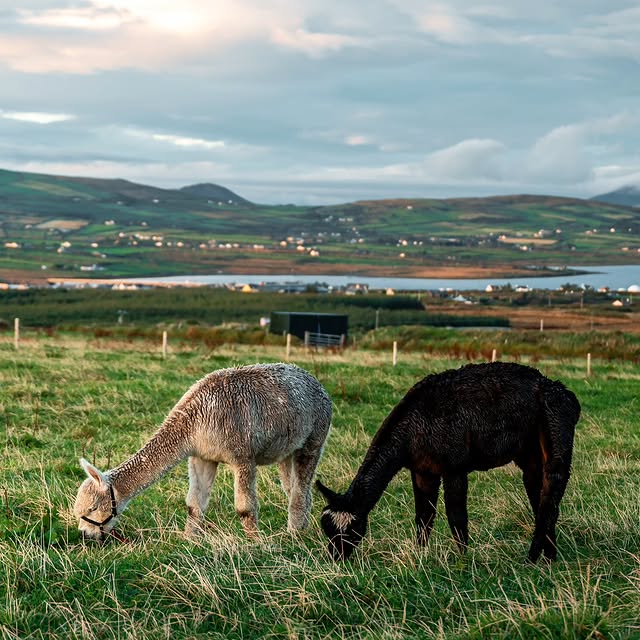  ........phpartsch   'recent posts' 