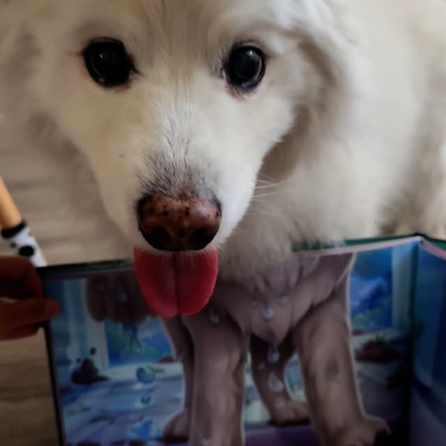  .......heeskie   'recent posts' 