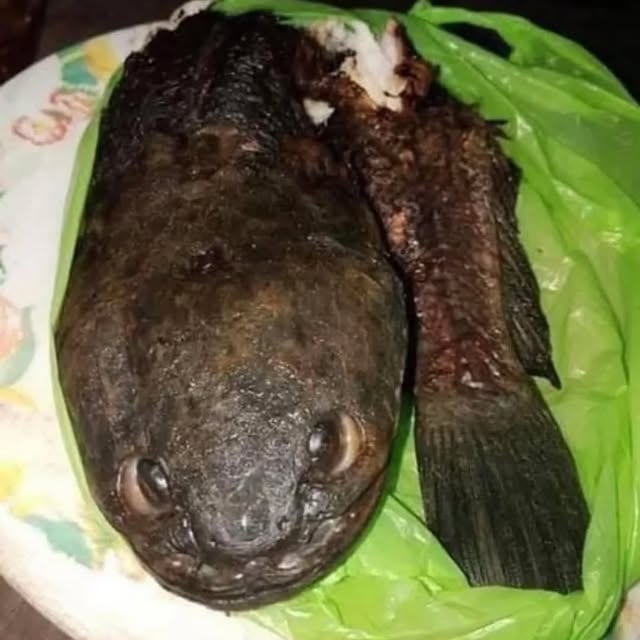  ........_culture_   'recent posts' 