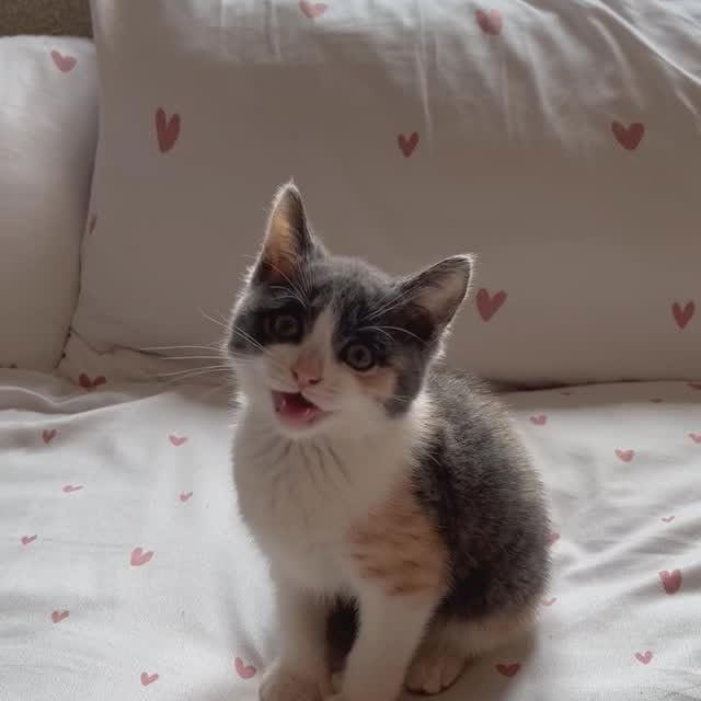  ......kekkek   'recent posts' 