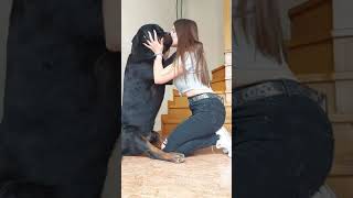  .......ler Life  'recent videos' 