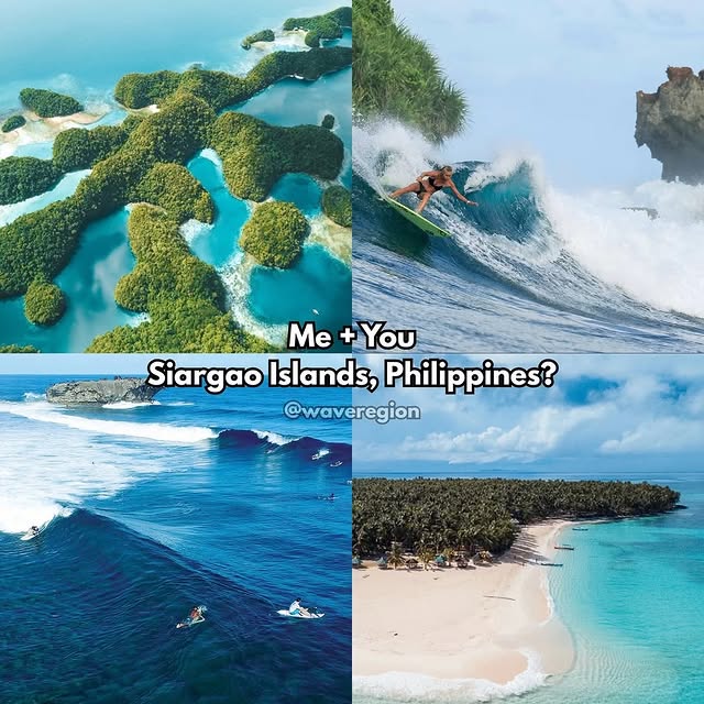  .....nique   'recent posts' 