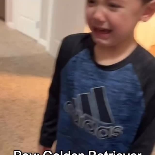  ....fday   'recent posts' 