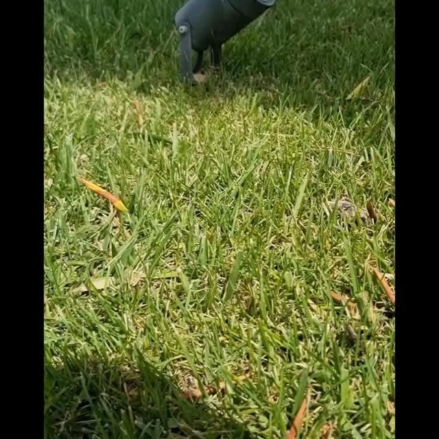  .....blose   'recent posts' 