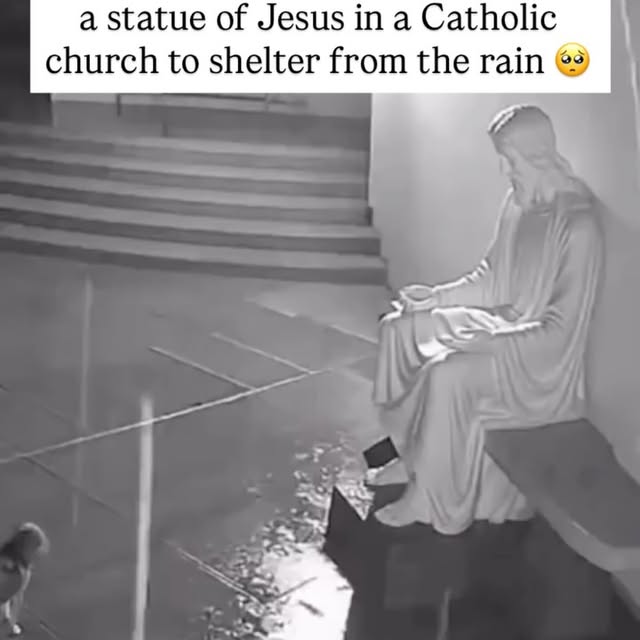  ....s.acc   'recent posts' 