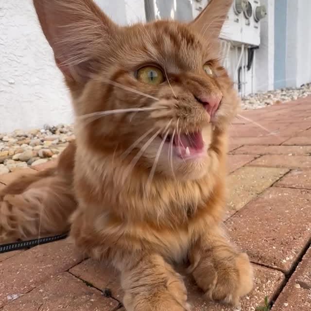  ......kekkek   'recent posts' 