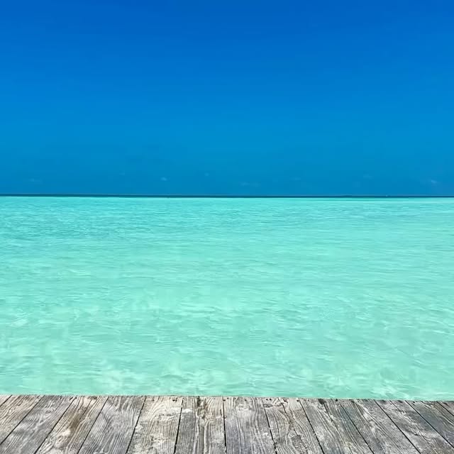  .......rfervor   'recent posts' 