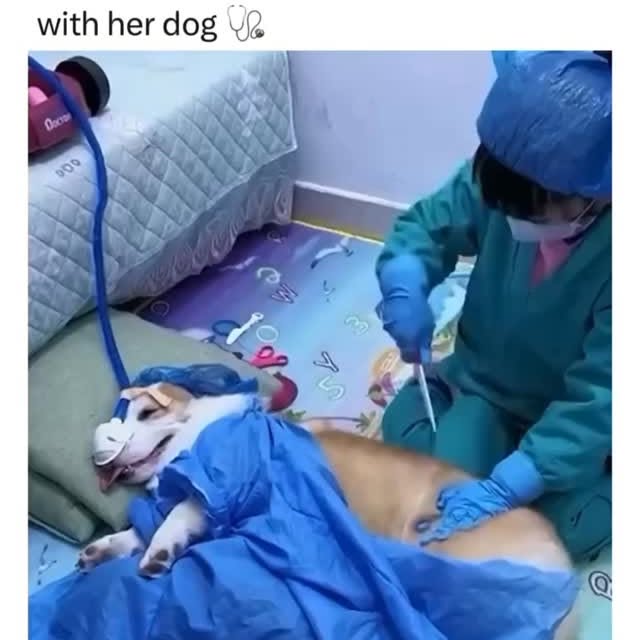  ........versgram   'recent posts' 