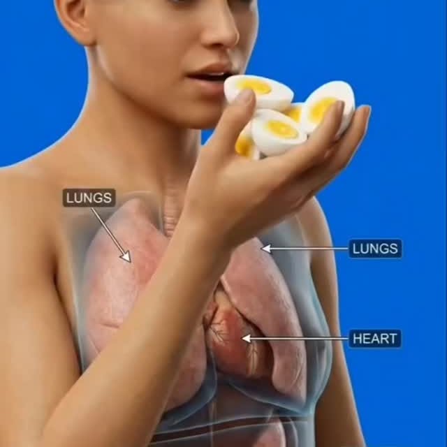  ......asedly   'recent posts' 