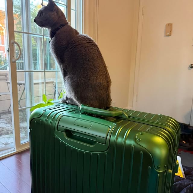  ......n_boris   'recent posts' 