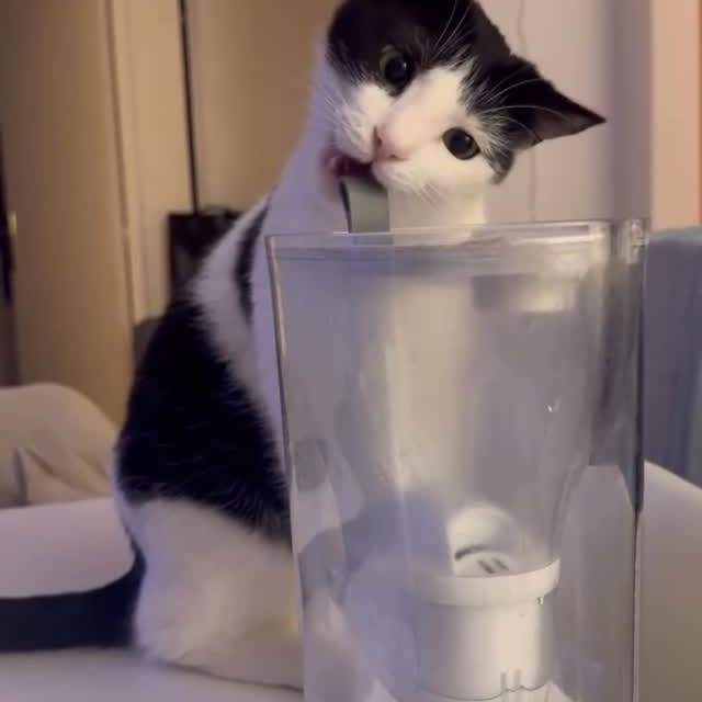  ...........irtonguesout   'recent posts' 