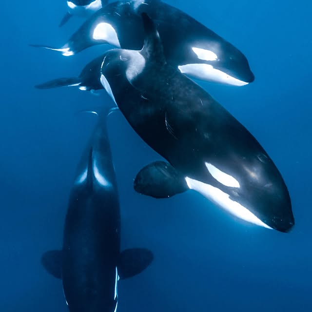  ......uecoast   'recent posts' 