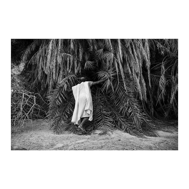  .....oaprin   'recent posts' 