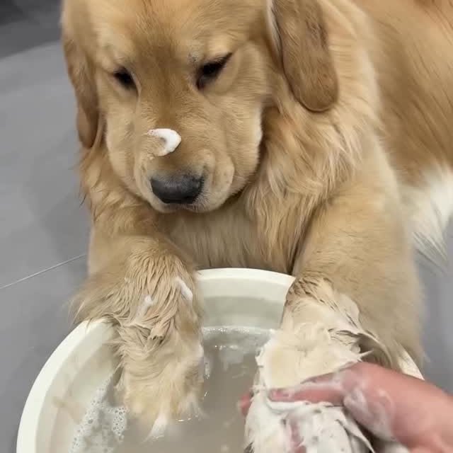  ......orable   'recent posts' 