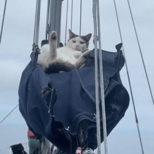  ....itten   'recent posts' 