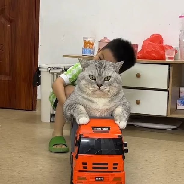  ......e.hacks   'recent posts' 