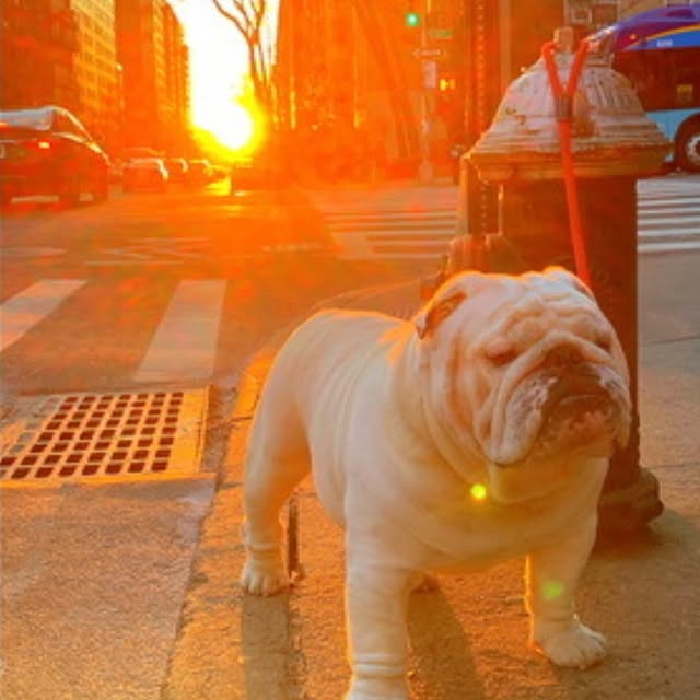  ......rwhite   'recent posts' 