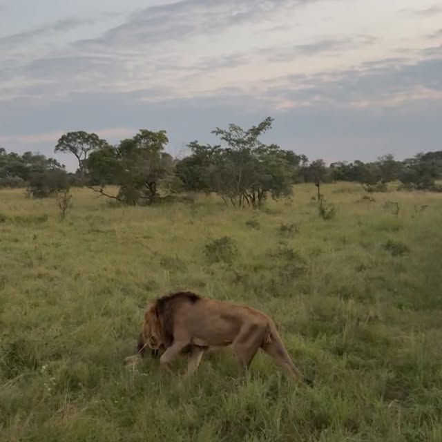  .........._sightings   'recent posts' 