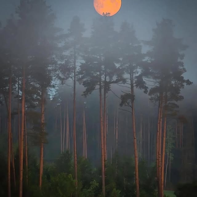  ......inside   'recent posts' 