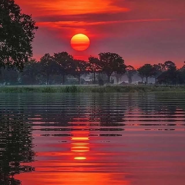  .....ervor   'recent posts' 