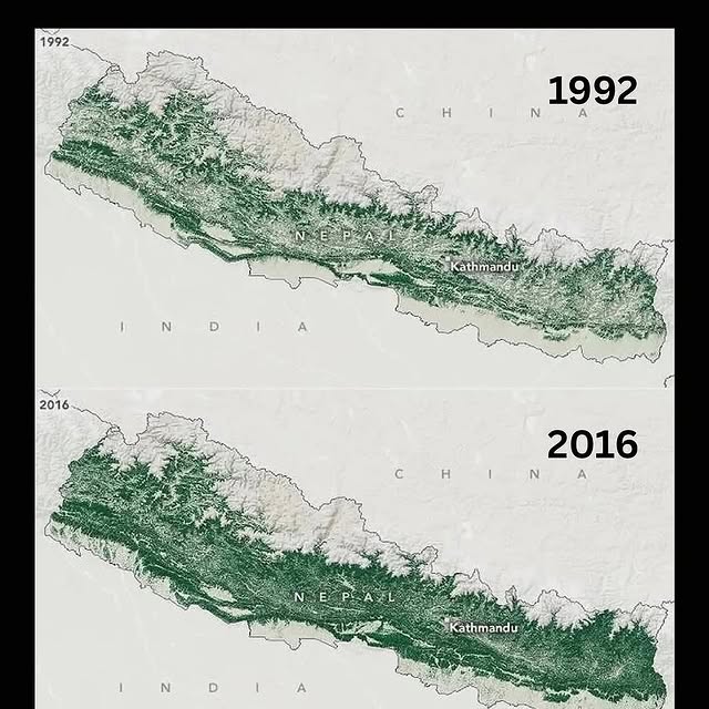  ......seviewz   'recent posts' 