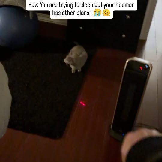  ......n_boris   'recent posts' 