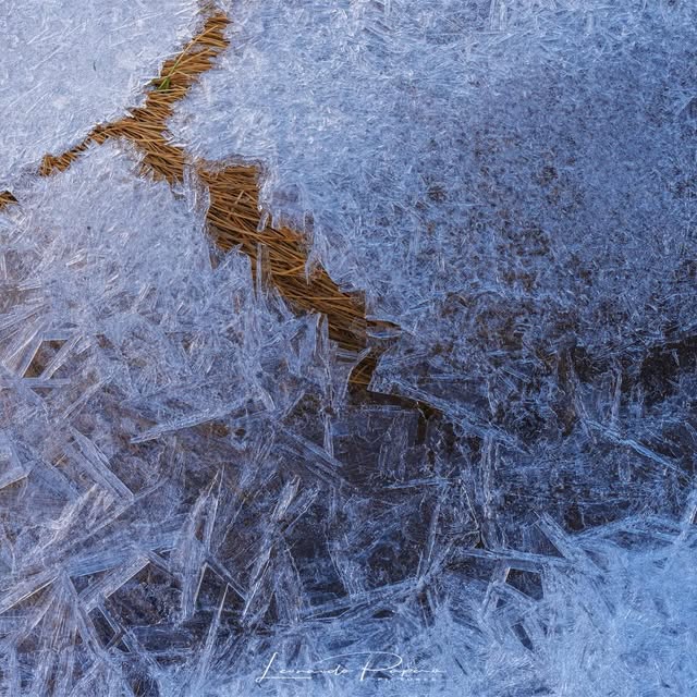  .......o.papera   'recent posts' 