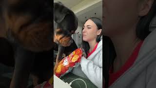  .......ler Life  'recent videos' 