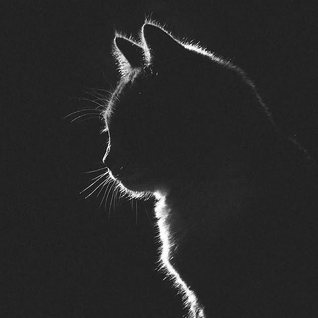  .......fcolors   'recent posts' 