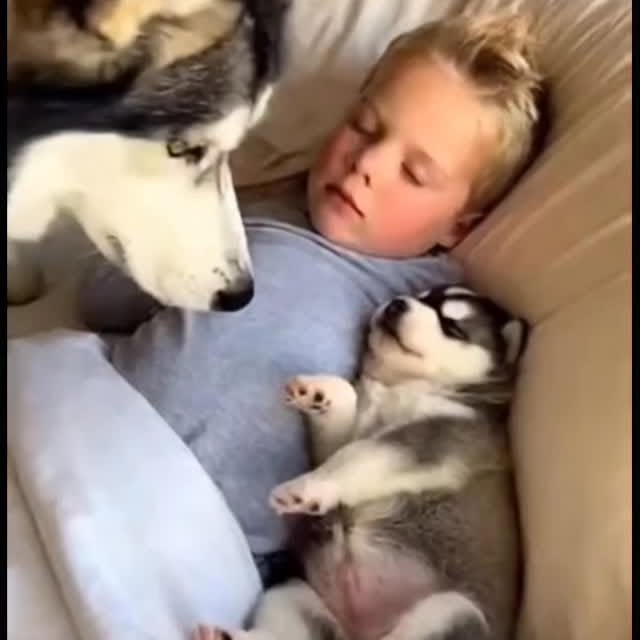  .......plorers   'recent posts' 