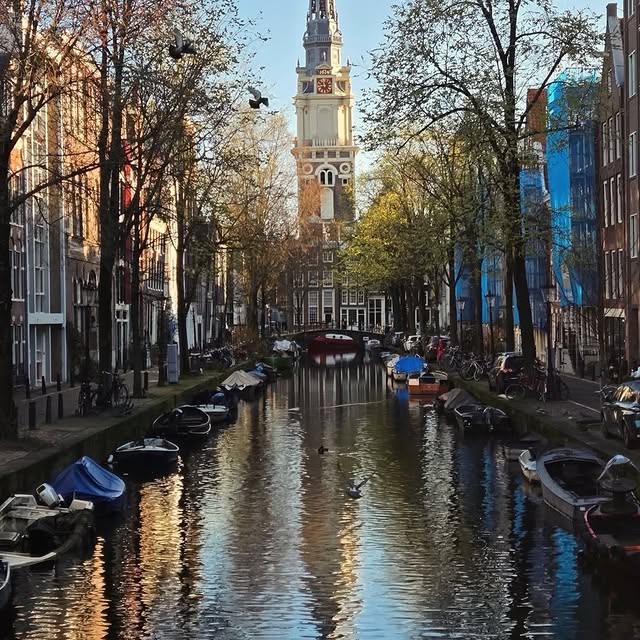  .......amworld   'recent posts' 