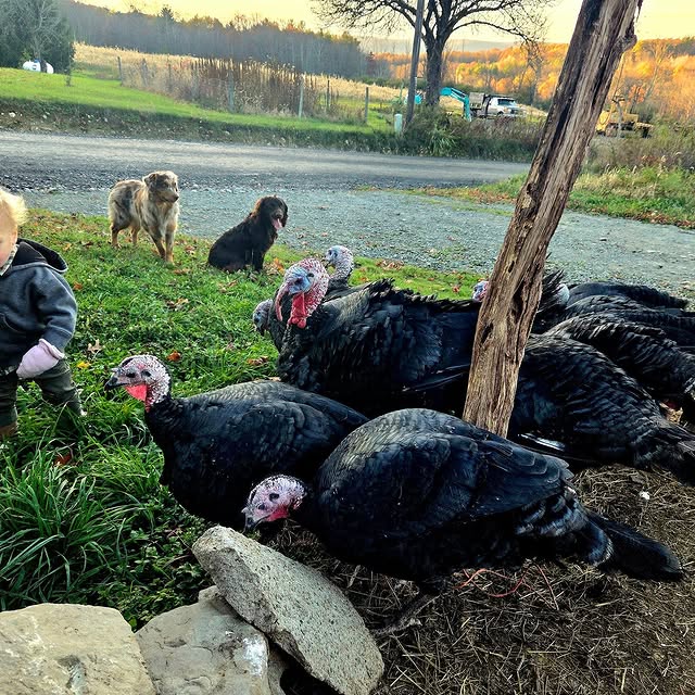  .........jeepher   'recent posts' 