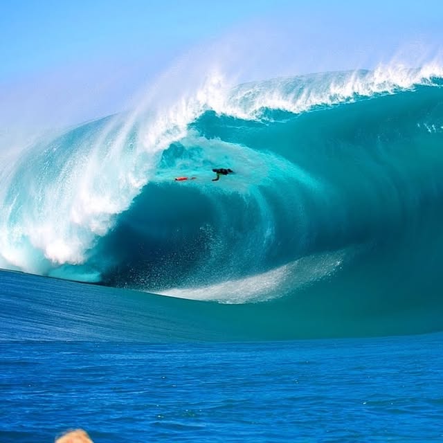  .....nique   'recent posts' 