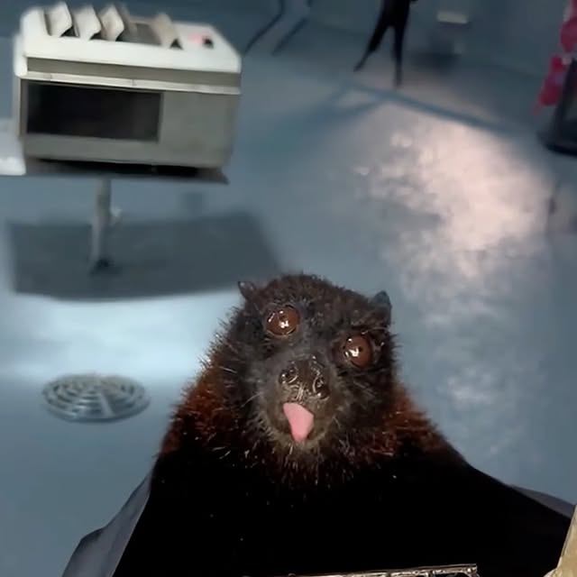  ........malsgram   'recent posts' 