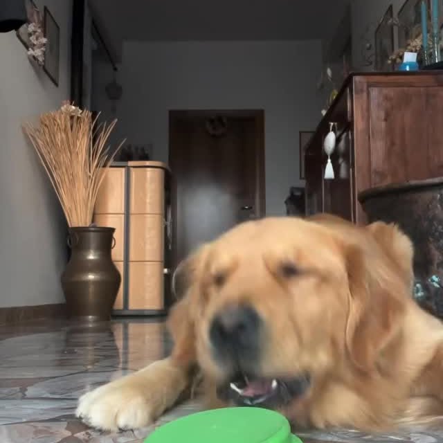  ......orable   'recent posts' 